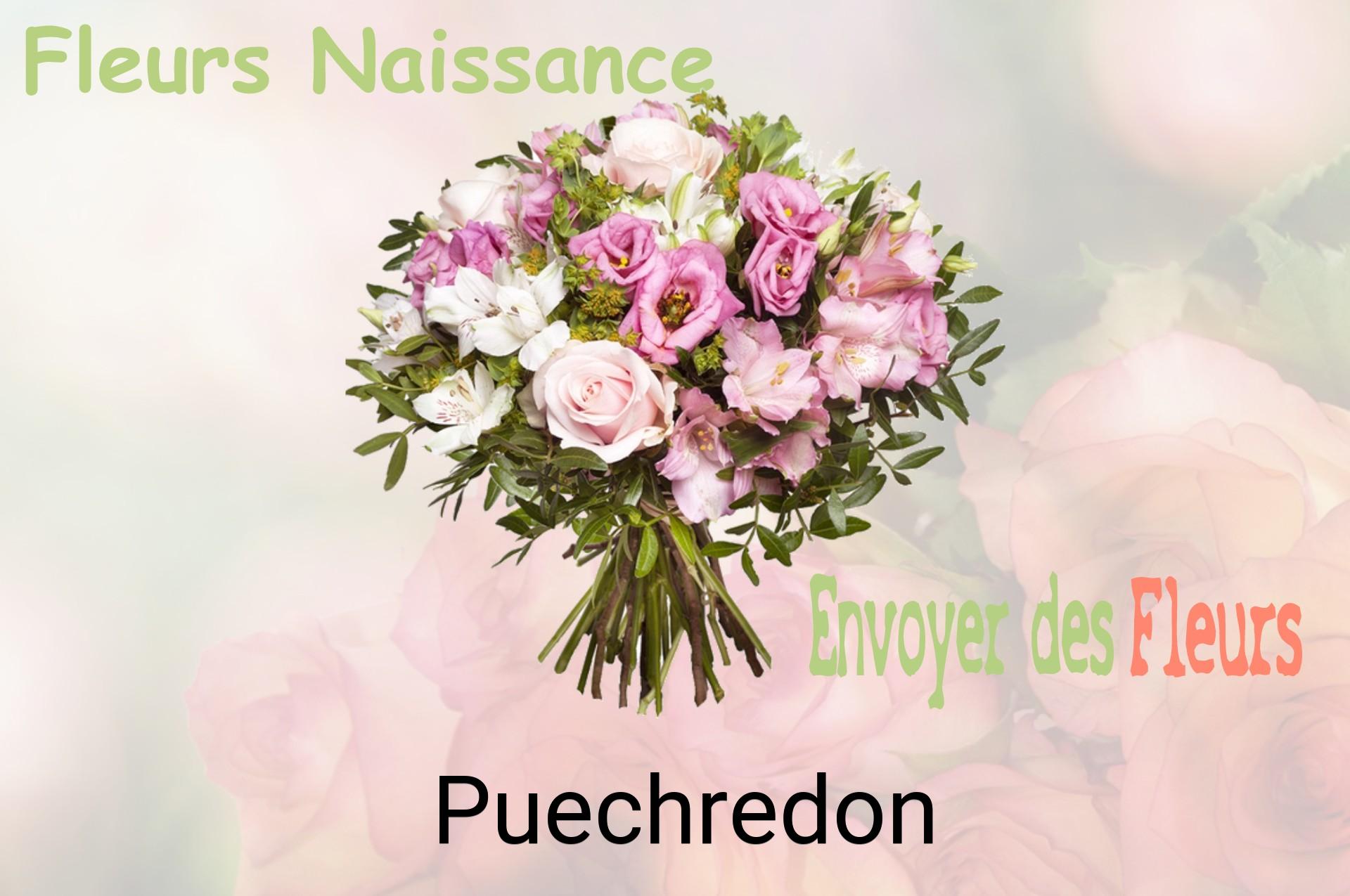 Bouquet de fleurs de naissance livré à Puechredon