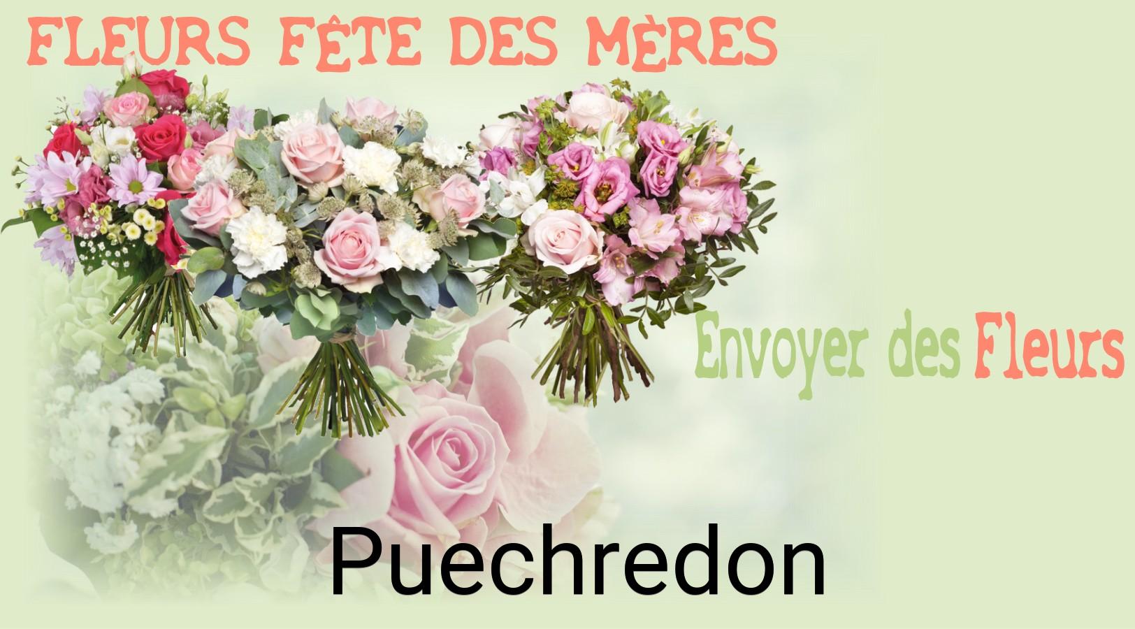 Bouquet de Fête des Mères livré à Puechredon